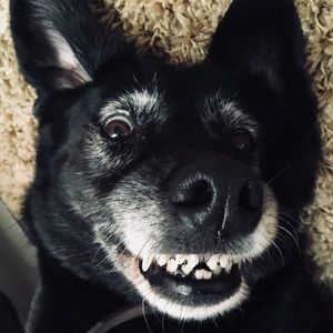 Meet your Posher, Mellissa